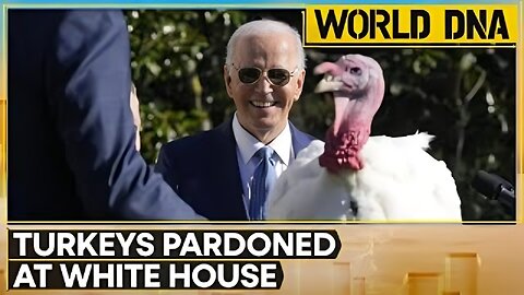 Turkeys 'Peach' & 'Blossom' Pardoned At Joe Biden's Last White House Thanksgiving