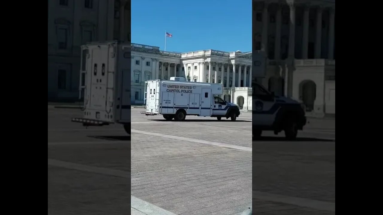 10/1/21 Nancy Drew DC Update- Capital K-9's to the Rescue, At this Point Who Knows...