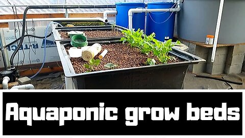 Aquaponic system Renovation part 3 - (hybrid aquaponic system)