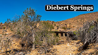 A Hermits Hidden Oasis in the Nevada Desert