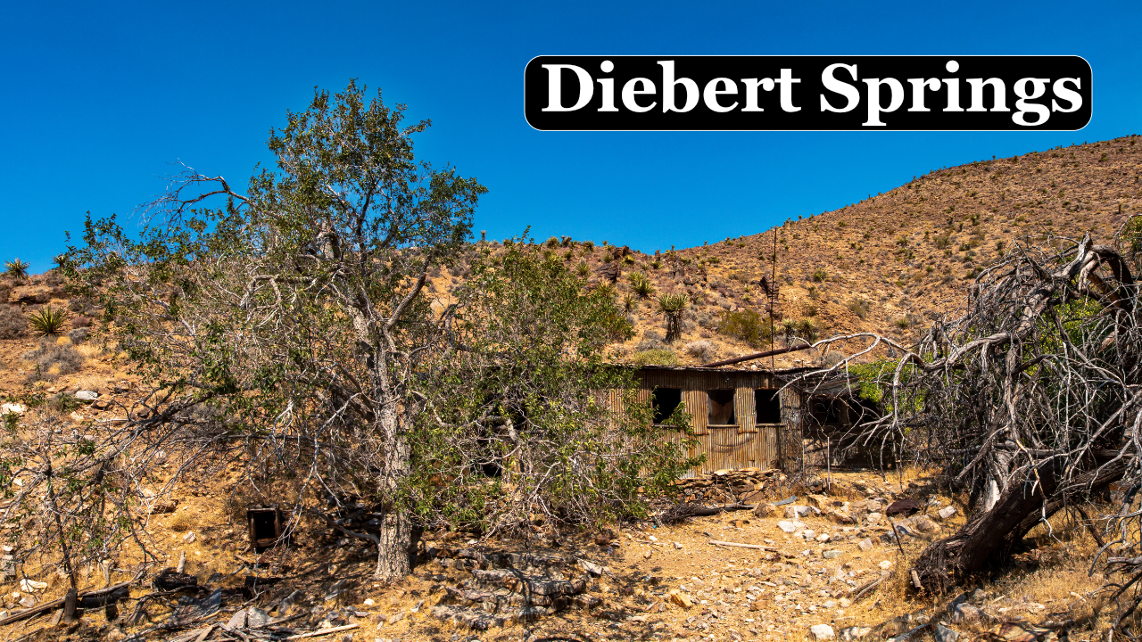 A Hermits Hidden Oasis in the Nevada Desert