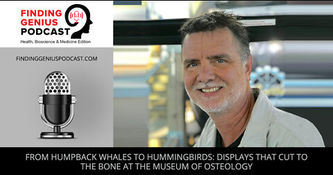 From Humpback Whales to Hummingbirds: Displays that Cut to the Bone at the Museum of Osteology