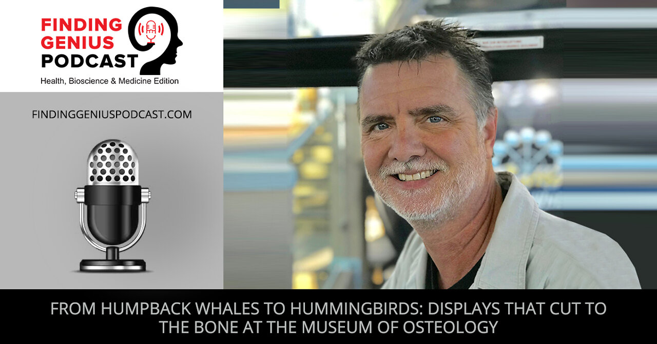 From Humpback Whales to Hummingbirds: Displays that Cut to the Bone at the Museum of Osteology