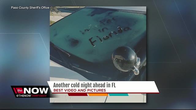 Best video and photos of Florida winter