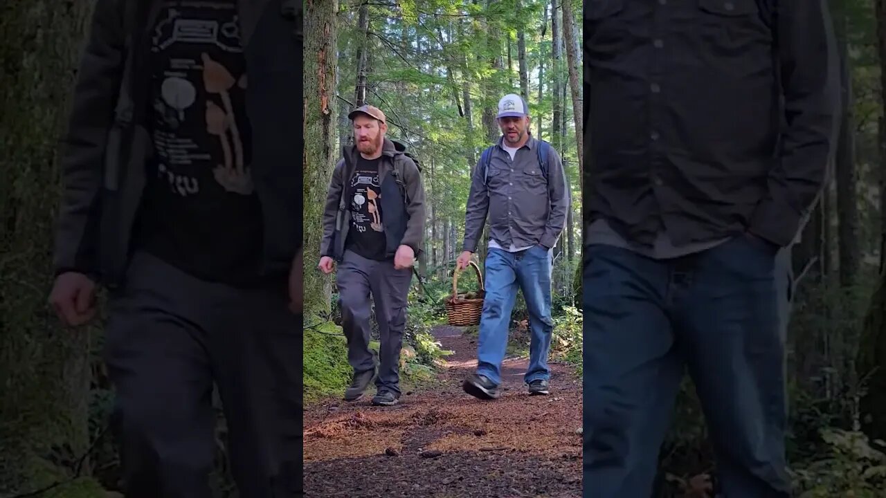 Amazing wild mushroom identification with Alan Rockefeller and Aaron Hilliard, check the long form