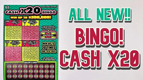 B-I-N-G-O!!! All NEW Scratch Off Tickets from the New York State Lottery : Bingo X20!!