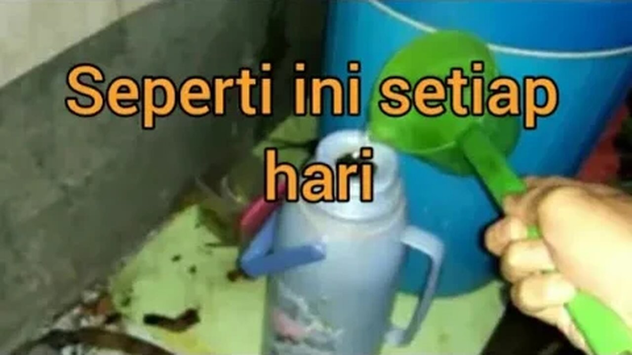 Kegiatan saya d pagi hari