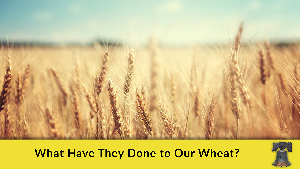 What Have They Done to Our Wheat?