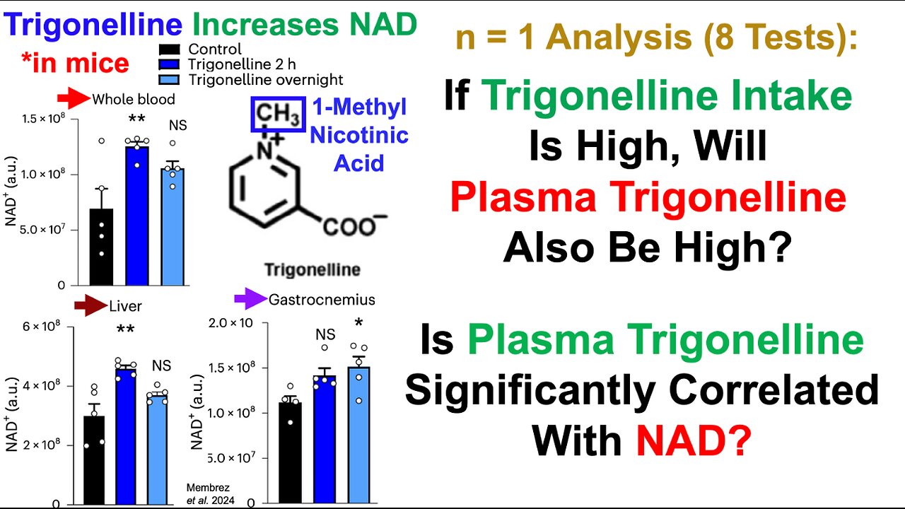 Plasma Trigonelline: A Mediator For Dietary Trigonelline To Increase NAD? (8-Test Analysis)