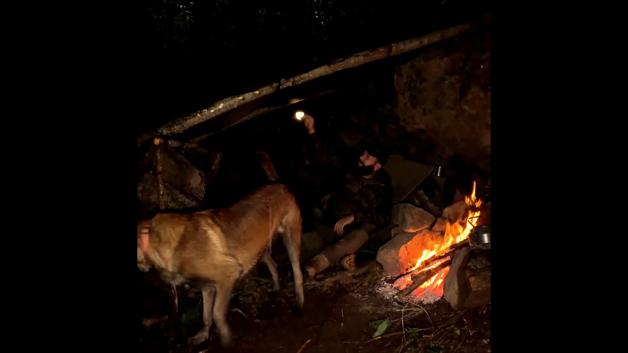 Heavy rain Bushcraft camping in the forest