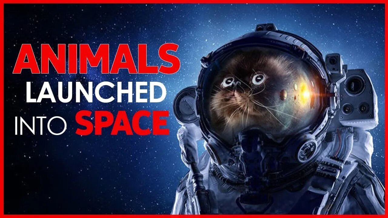 ANIMALS LAUNCHED INTO SPACE | ANIMALS IN SPACE | NASA | FIRST ANIMAL IN SPACE