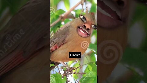 When the birdie saves you 🤣