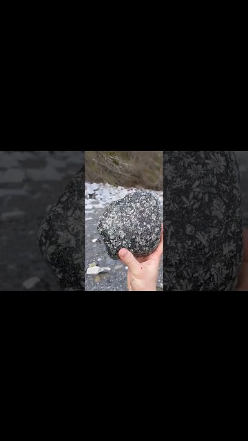 I Found A Big Beautiful Flowerstone!