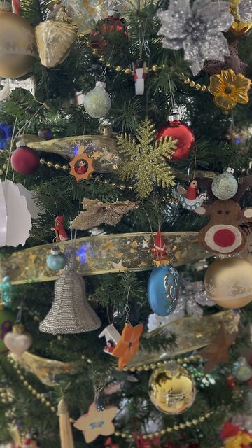 Night Vibes Report with Spirit - IGNORE THE NJ DRONES