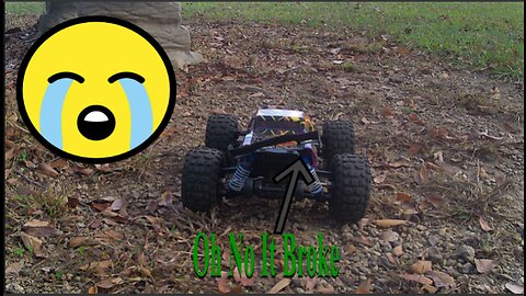 RC Dragon At The Park Part 1