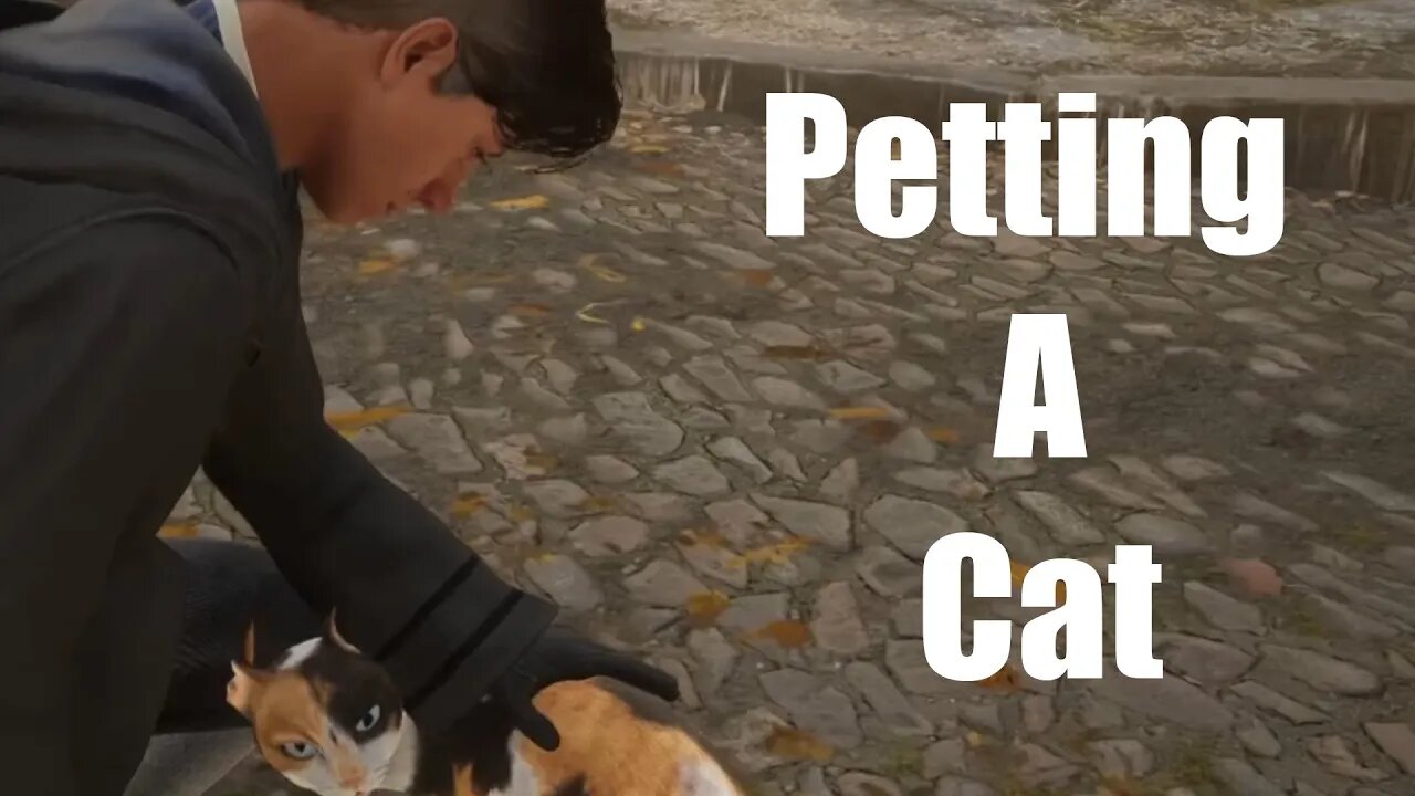 Hogwarts Legacy Petting A Cat