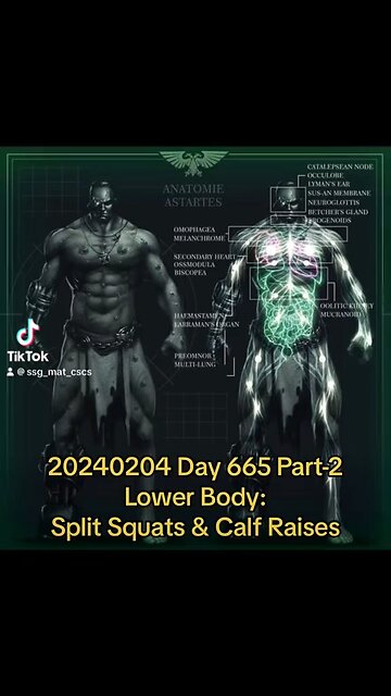 20240204 Day 665 Part-2 - Lower Body: Split Squats & Calves