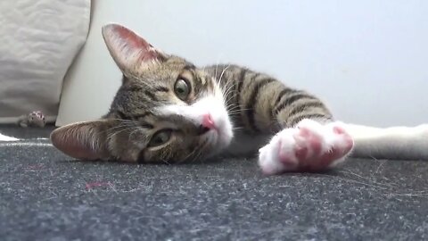 Playing Makes Me Soo Tired