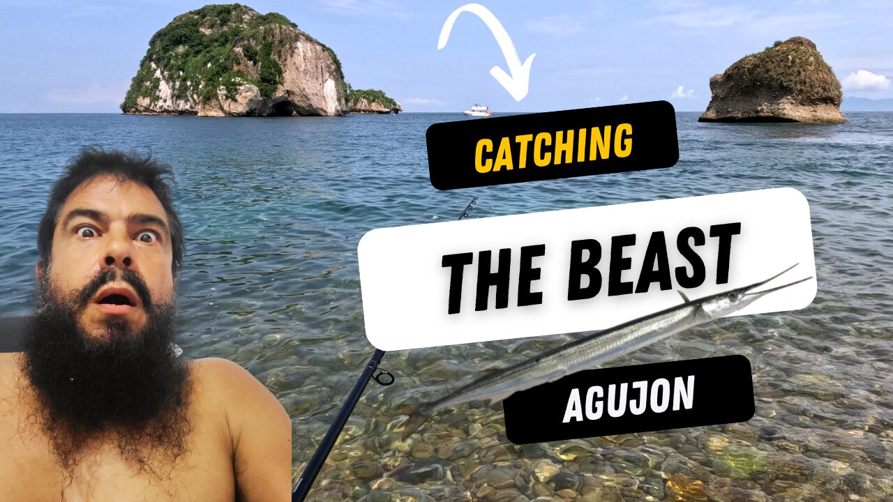 My first Caught Agujon #fishing #agujon