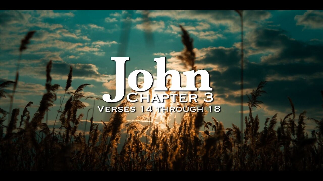 Bible Verses - John 3:14-18