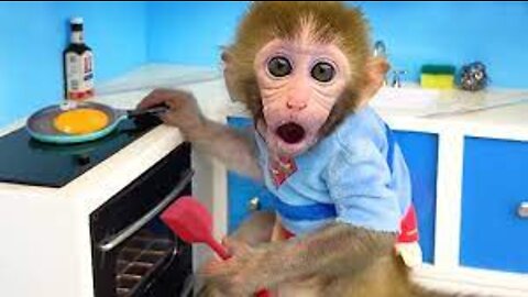Monkey Baby Bon Bon eats fried eggs and plays with puppy and rabbit on the farm
