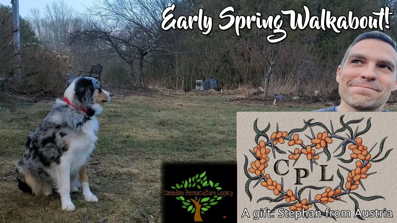 Spring 2022 in the Permaculture Food Forest (Cold Climate)