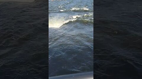 Fox River Waves !!!