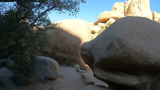 Hidden Valley Trail in Joshua Tree