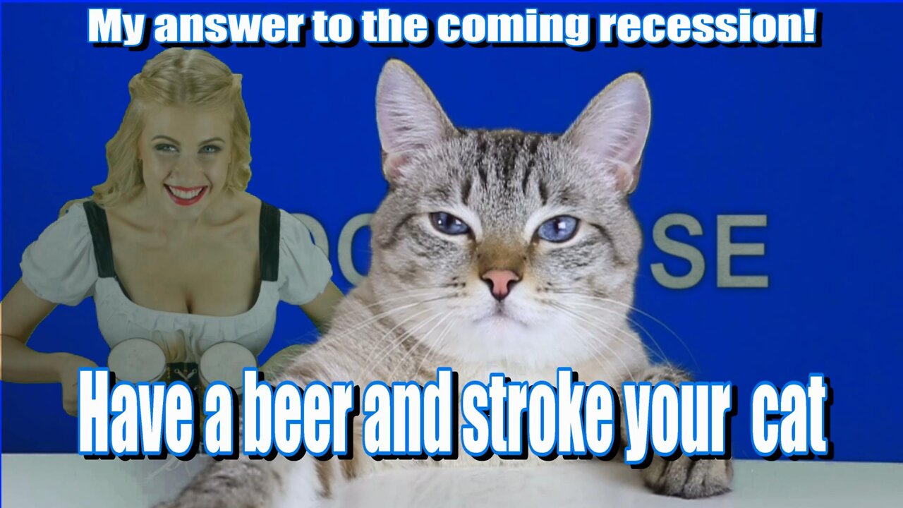 My answer to the coming recession, have a beer and stroke your cat.