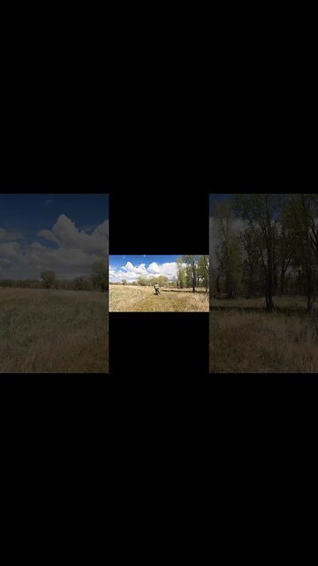 SUNDAY BRAAPS - 01KX250 2 Stroke Bad Gas