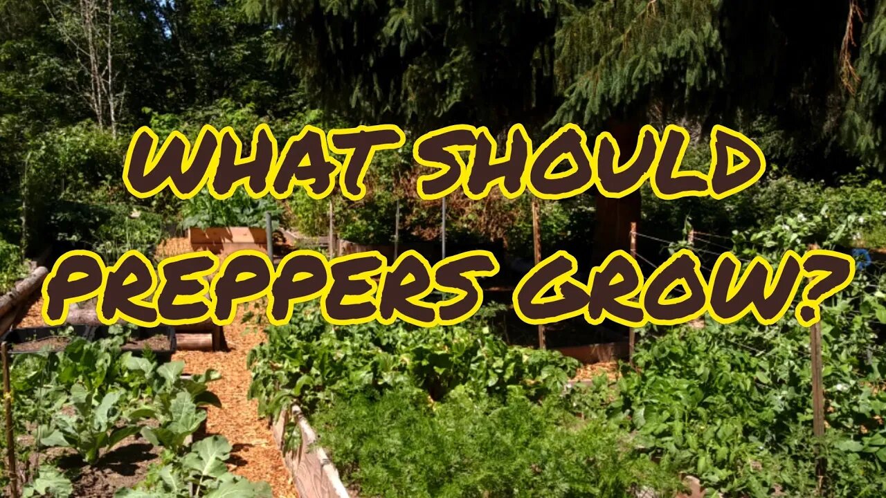 Prepping: What To Grow?