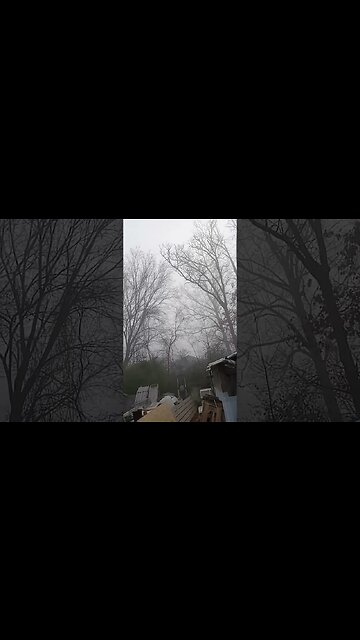 foggy new year's morning