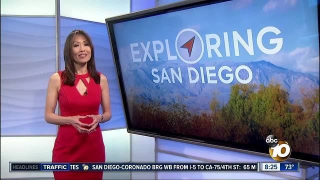 Exploring San Diego: Things to do Aug. 2 - 5