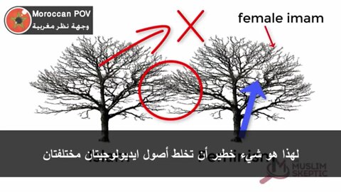 دانييل يشرح الطريقة الصحيحة لمقارنة الاسلام و ايديولوجيات أخرى