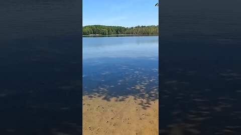 Fishing with this lake view