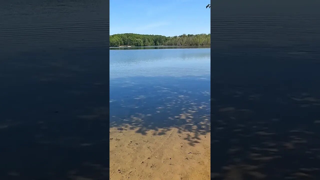 Fishing with this lake view