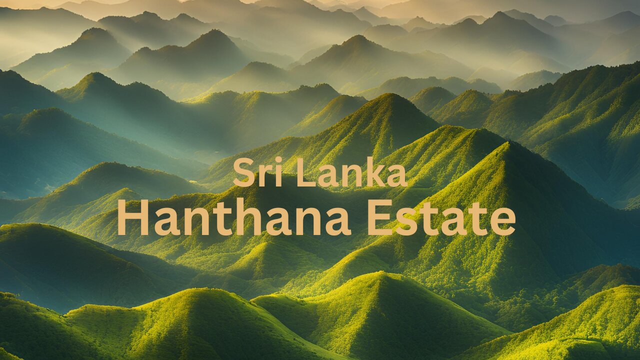 Hanthana Estate - This Is Sri lanka