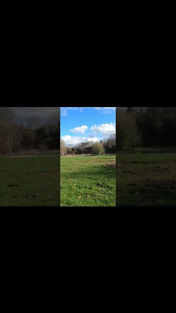 Wigg Island Community Park