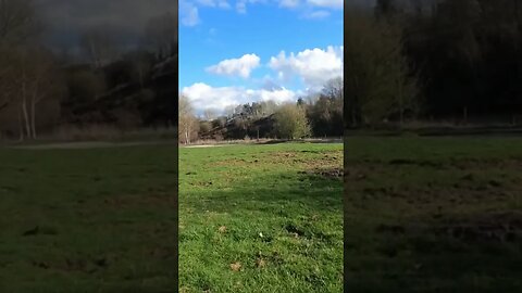 Wigg Island Community Park