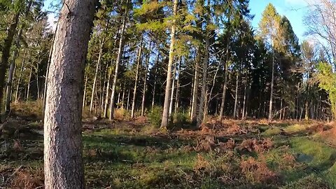 walking a 35 Kilo bergen into the woods for a mile 18th Jan 2023