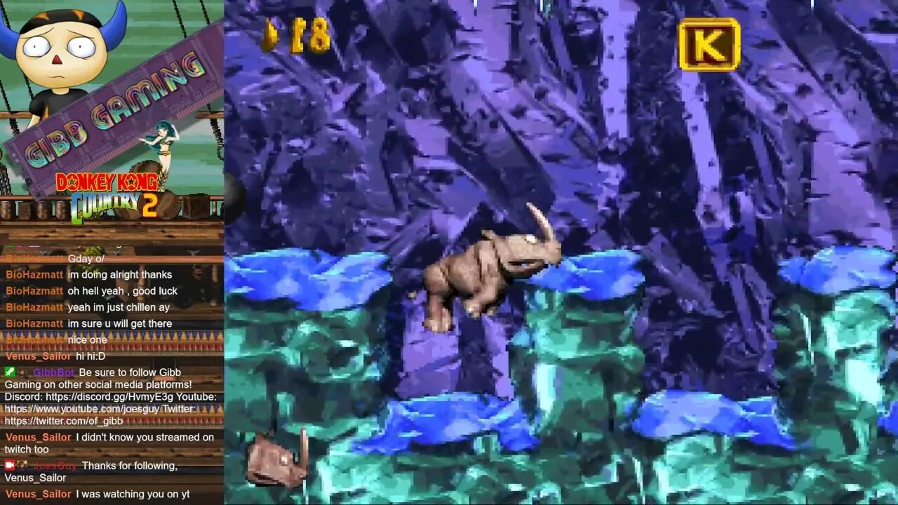 Donkey Kong Country 2 - Animal Antics