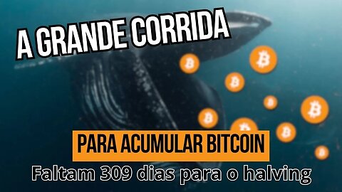 A CORRIDA PELO BITCOIN COMEÇOU | O Halving se aproxima!!!!