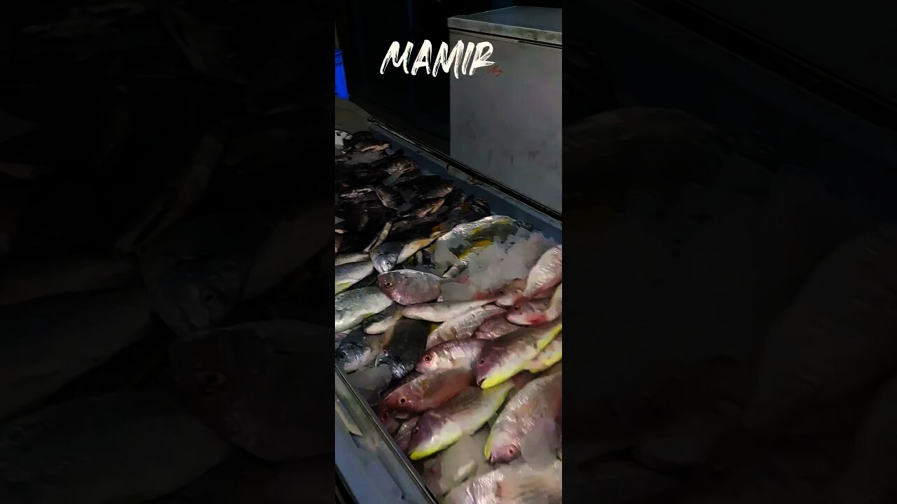 Fish Market in Saudi Arabia#shorts