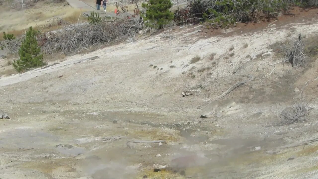 Geyser in the Norris Geyser Basin