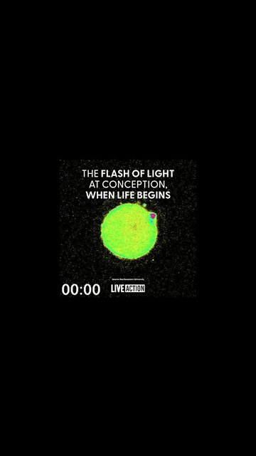 The flash of light when a child's life starts!