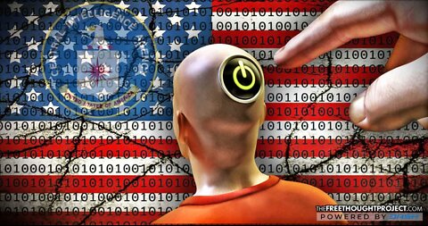 MK Ultra Mind Control and the CIA's War on We The People