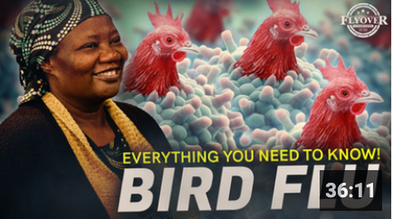 Bird Flu: Everything You Need To Know To Prepare and Live WITHOUT Fear! - Dr. Stella Immanuel