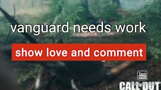 vangaurd needs work