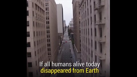 If the humans suddenly disappear from the Earth 🌍🌍. What would happen?