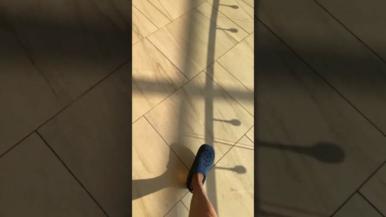 Adventure at the Mall